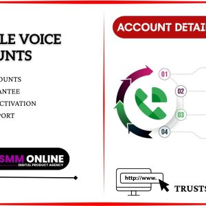 Buy Google Voice Accounts