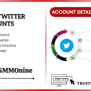 Buy Old Twitter Accounts