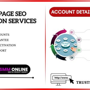 Best On Page SEO Optimization Services