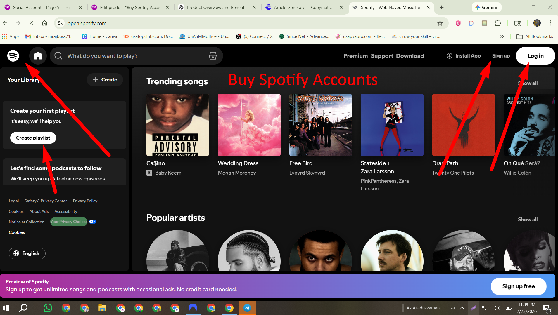 Buy Spotify Accounts