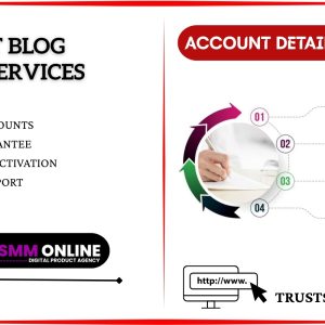 Buy best Blog Writing Services