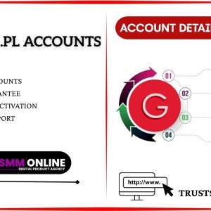 Buy Gazeta.pl Accounts